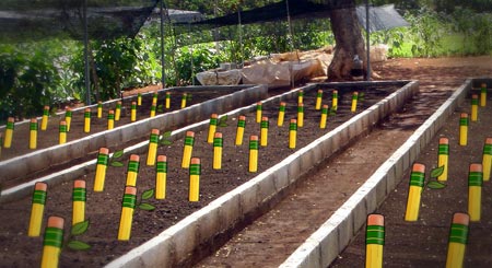 Photo from the Farm
